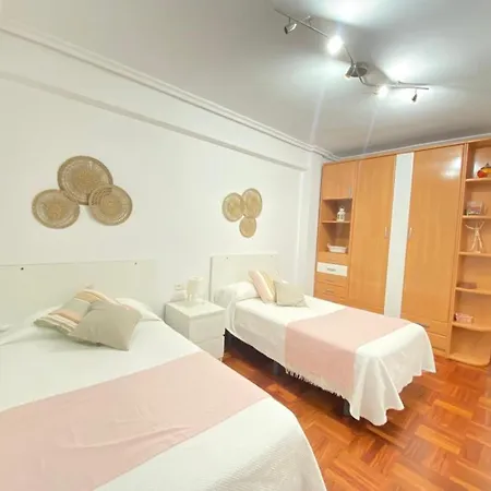 Daire Centro Garaje-parking-free Zarautz